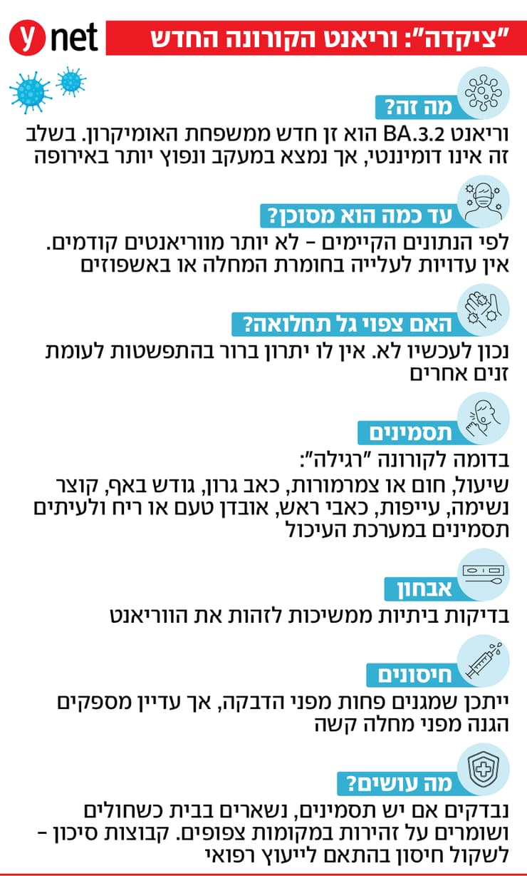 אינפו וריאנט ציקדה קורונה