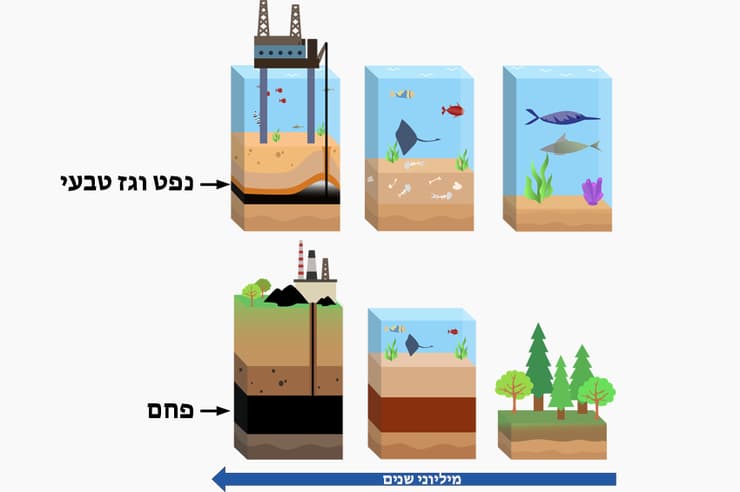 הנפט, הגז הטבעי ופחם האבן בעולמנו נוצרו בבטן האדמה, בתהליכים טבעיים שארכו מיליוני שנים. אילוסטרציה של יצירת דלקי מאובנים