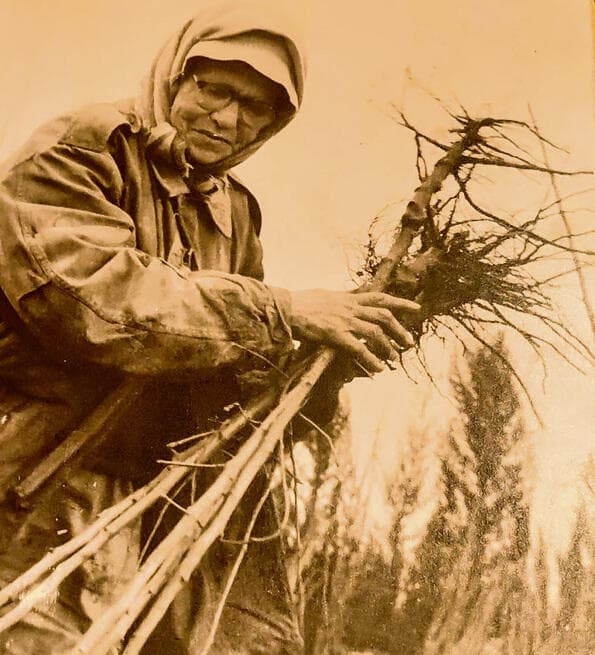 מלכה ארצי ז"ל (מתוך אלבום משפחתי) מלכה ארצי ז"ל