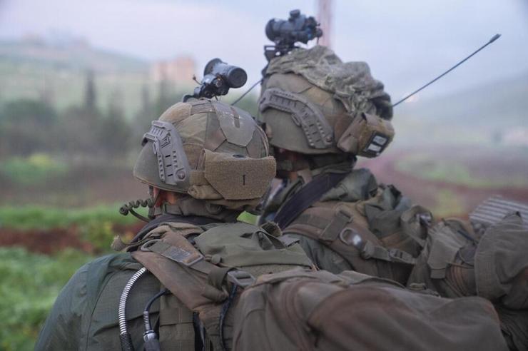 פעילות צה"ל במבצע 'שאגת הארי'