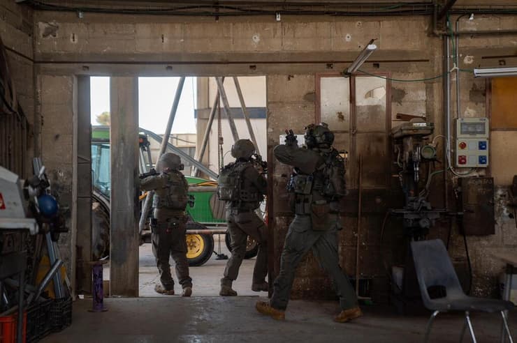 פעילות צה"ל במבצע 'שאגת הארי'