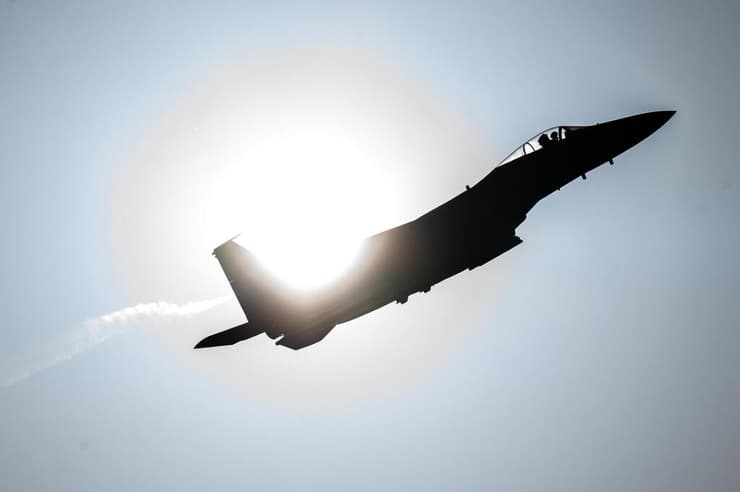 פעילות צה"ל במבצע 'שאגת הארי'