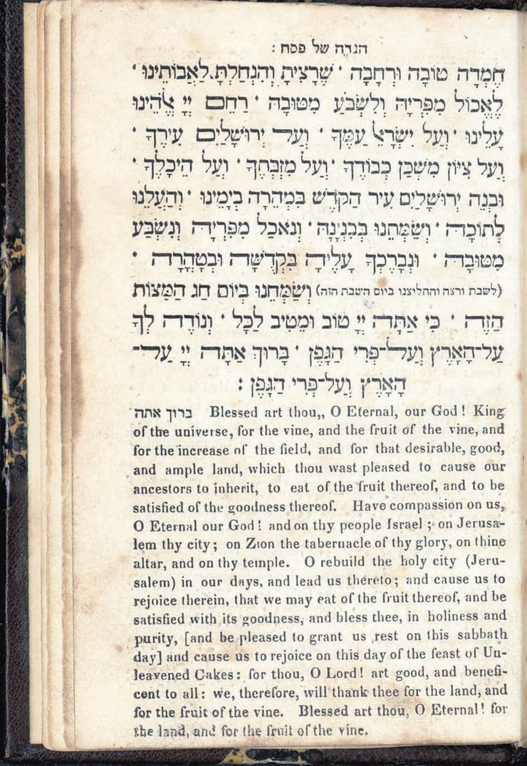 הגדת ניו־יורק