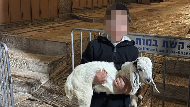 14 נעצרו בניסיון להעלות קורבן בהר הבית