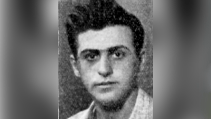 טוראי דב (דובה) פרמט