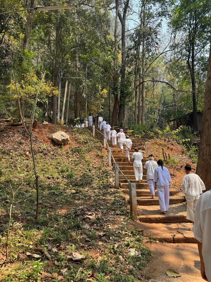 הולכים בשורה בטבע - ושותקים