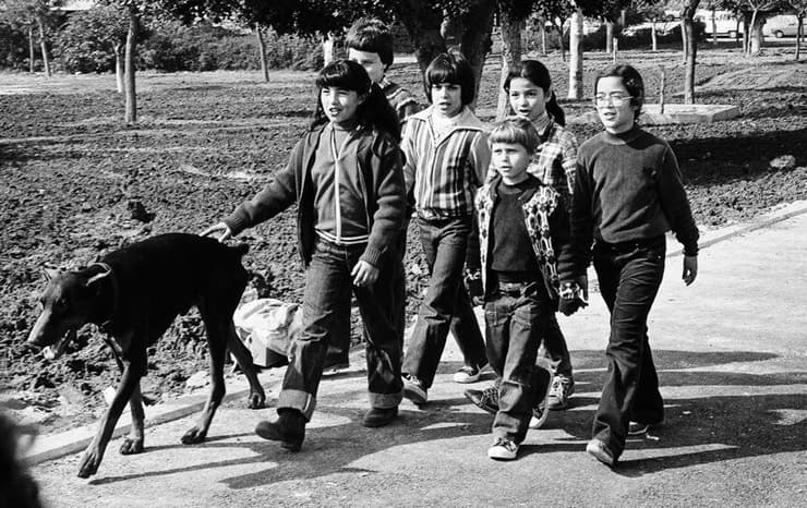 דובי הדוברמן