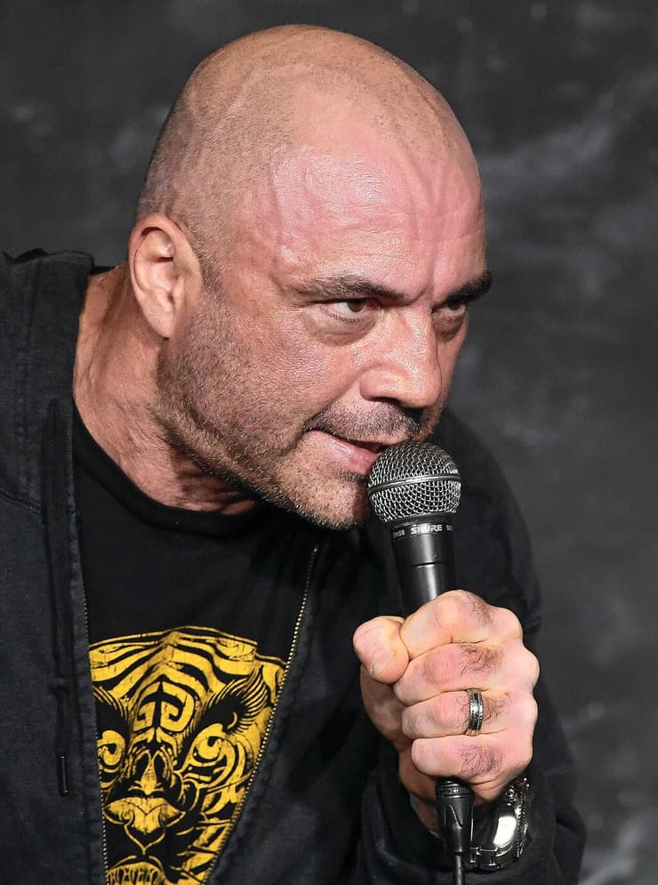 Michael S. Schwartz, WireImage