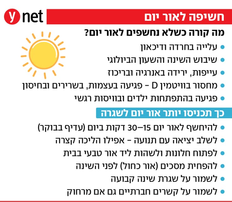 אינפו חשיפה לאור יום 