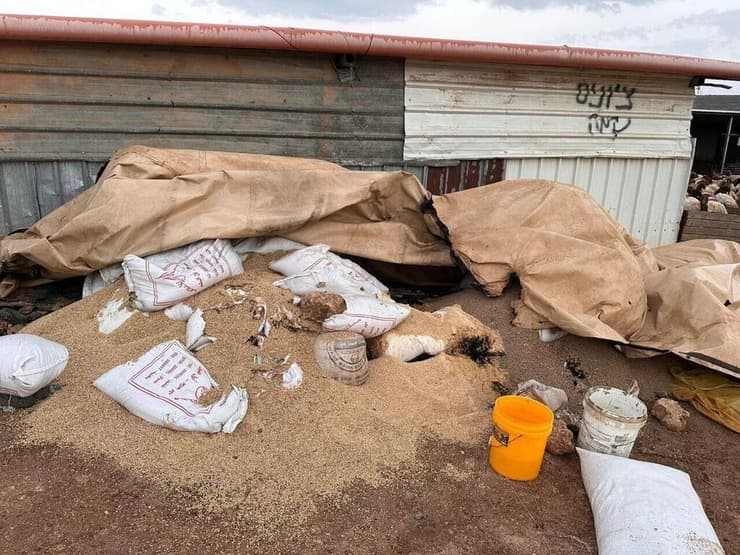 מתנחלים הציתו רכבים וגרמו לנזק רב לתושבים בכפר אל-לובן א-שרקיה דרומית לשכם