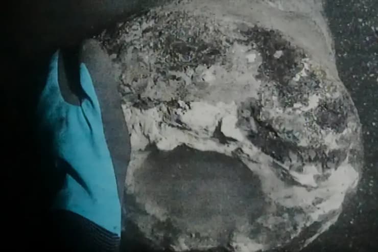 שרידי תותח, ככל הנראה של ספינת הדגל הדנית "דנברוגה", שטבעה במהלך קרב קופנהגן בשנת 1801 (צילום: Viking Ship Museum/AP) שרידי תותח, ככל הנראה של ספינת הדגל הדנית "דנברוגה", שטבעה במהלך קרב קופנהגן בשנת 1801