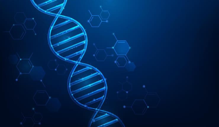 דנ"א DNA