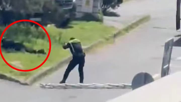 אחד המחבלים מנוטרל על הרצפה המחבל מנוטרל