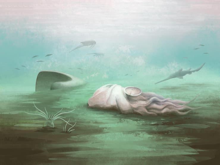 שחזור של Pohlsepia mazonensis