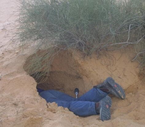 מחילת הזיקיות הראשונה שנמצאה אי פעם. הרגליים של פרופ' עמוס בוסקילה. התמונה צולמה ב-2003