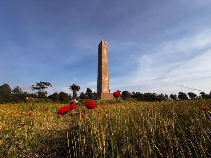 פריחה אדומה בקיסריה