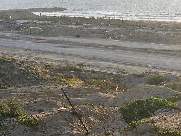 הכלב הירוי שרוע על האדמה במקום שבו התרחשה התקרית