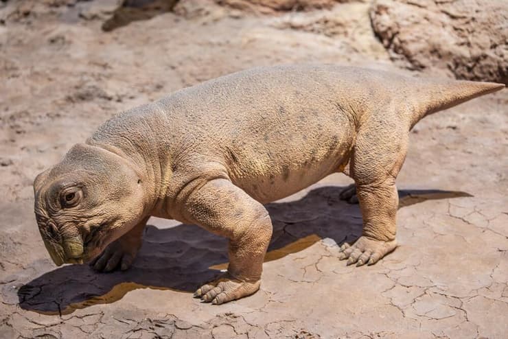 שיחזור של ליסטרוזאורוס