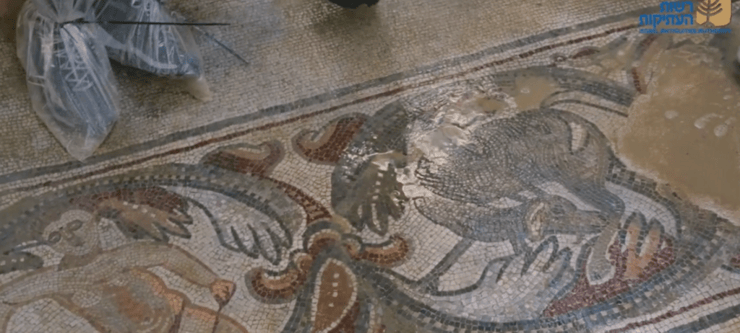 פסיפס בכנסיה הביזנטית בנהריה (צילום: רשות העתיקות) פסיפס בכנסיה הביזנטית בנהריה