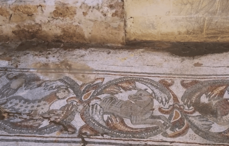 פסיפס של בעלי חיים (צילום: רשות העתיקות) פסיפס בכנסיה הביזנטית בנהריה