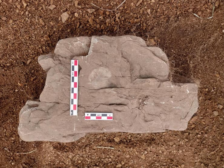 המטבע אותר על גבי אבן מיסודותיה של כנסייה הרוסה באתר בו שכנה מושבת ריי דון פליפה, בצ'ילה של ימינו (צילום: Richard Bezzaza) המטבע אותר על גבי אבן מיסודותיה של כנסייה הרוסה באתר בו שכנה מושבת ריי דון פליפה, בצ'ילה של ימינו