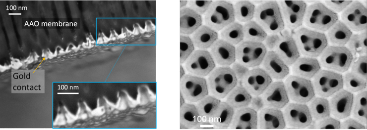 אילוסטרציה של מערכת הניסוי (איור: אוניברסיטת תל אביב) אילוסטרציה של מערכת הניסוי