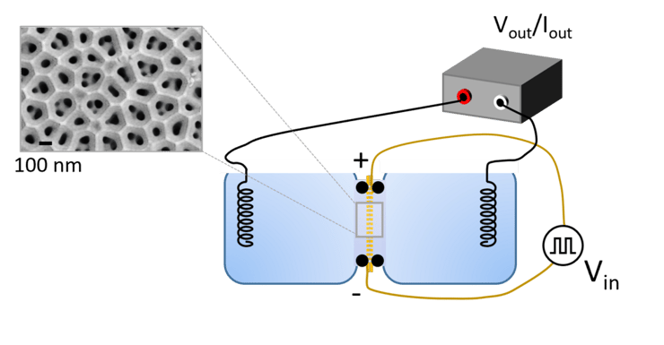דרך הפעולה של מערכת הניסוי (איור: אוניברסיטת תל אביב) דרך הפעולה של מערכת הניסוי
