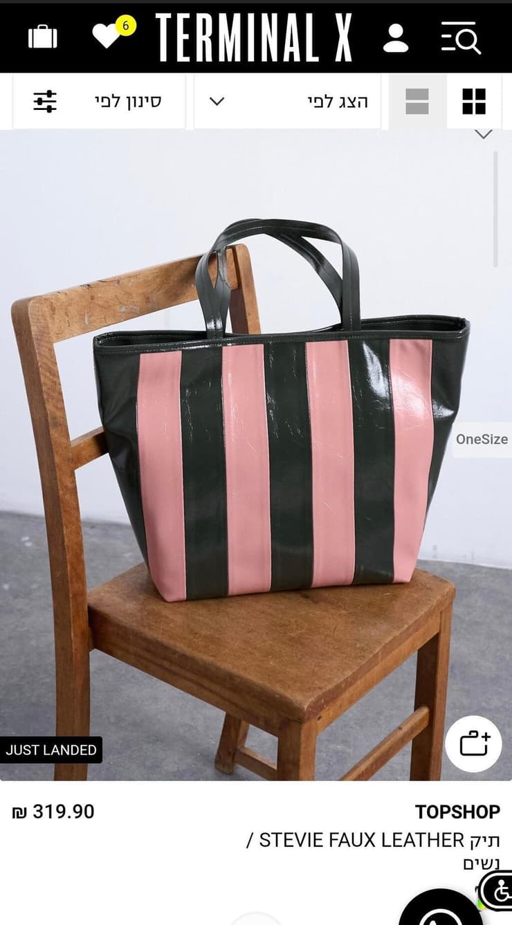 תיק באתר טרמינל X
