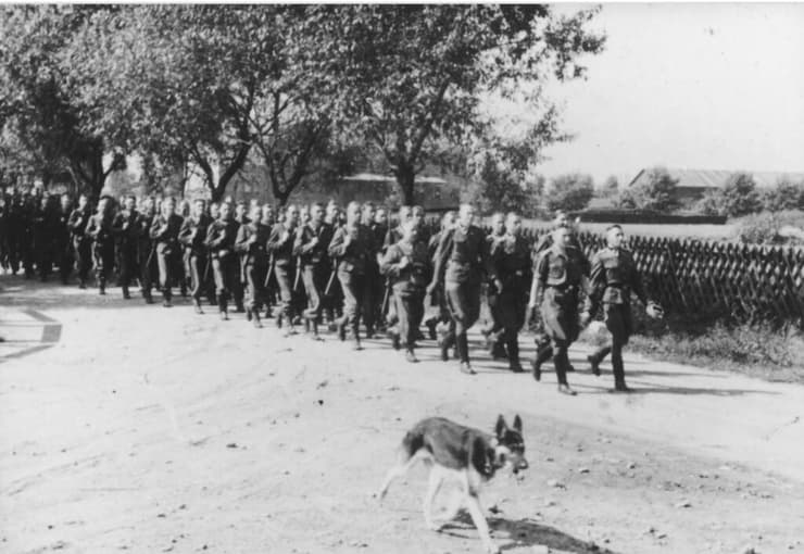 יחידות הכלבים הנאציות פעלו בתשעה מחנות לפחות (צילום: מוזיאון השואה בוושינגטון) יחידת כלבים נאצית