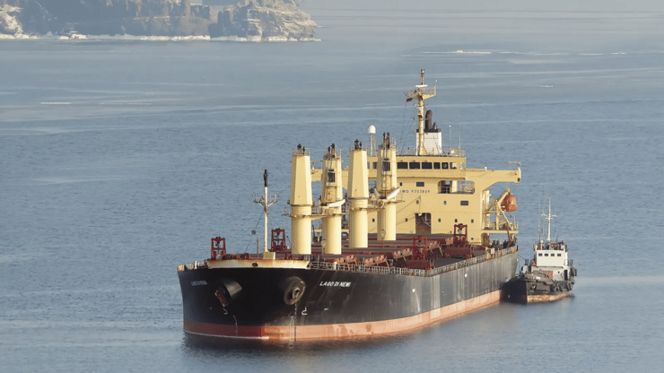 אוניית המטען הרוסית ABINSK שדווח כי עגנה בחיפה עם חיטה אוקראינית