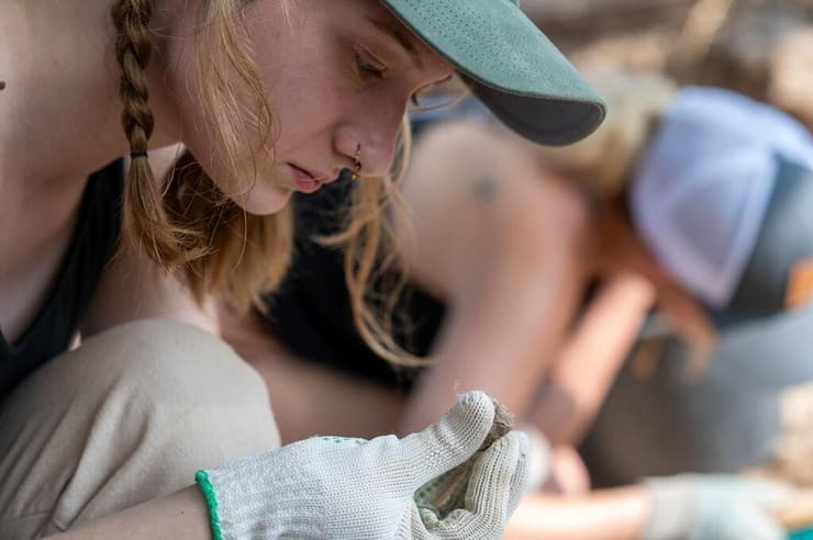 ניתוח שיניים של עדרי צאן, בעיקר כבשים ועיזים, שנמצאו בחפירות בתל חצור שבעמק החולה