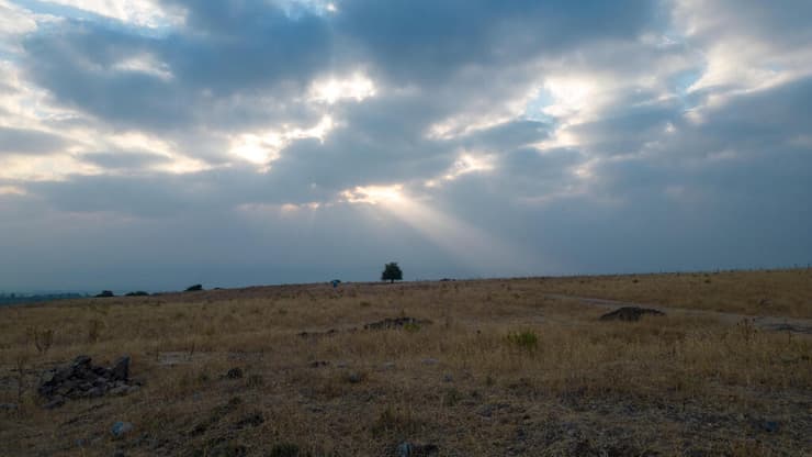 שטחי המרעה בהם נעו רועי הצאן בתקופת הברזל ב' בדרום הלבנט