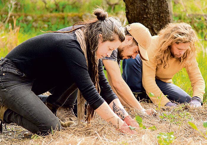 "התחיל כפרויקט אקולוגי". קהילת "ספירלה"