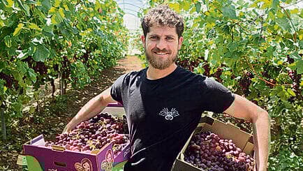 טל גלילי בכרם של אביו רועי (צילום: רועי גלילי) טל גלילי בכרם של אביו רועי