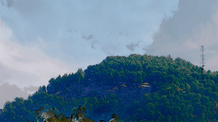 הר כנען. “אנחנו מייצרים מציאות אחרת"