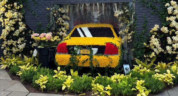 מיסטר פלאוור פנטסטיק