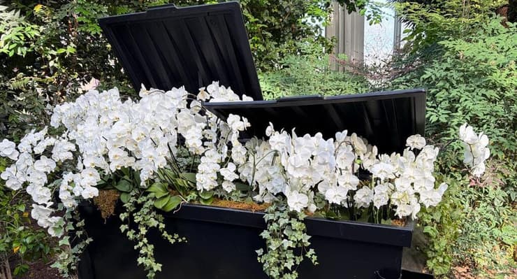 מיסטר פלאוור פנטסטיק