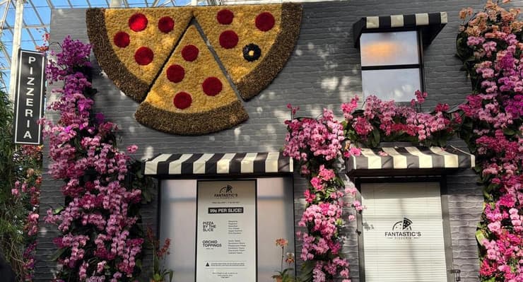 מיסטר פלאוור פנטסטיק