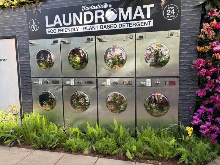 מיסטר פלאוור פנטסטיק