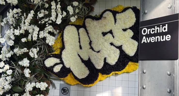 מיסטר פלאוור פנטסטיק