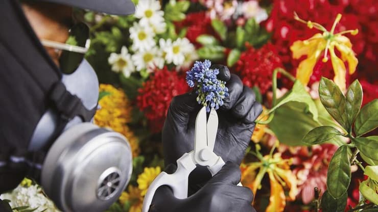 מיסטר פלאוור פנטסטיק