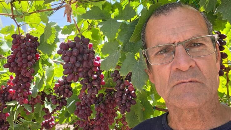 רועי גלילי. "נלחם על הישרדות המשק" (צילום: רועי גלילי) הכרם של משפחת גלילי