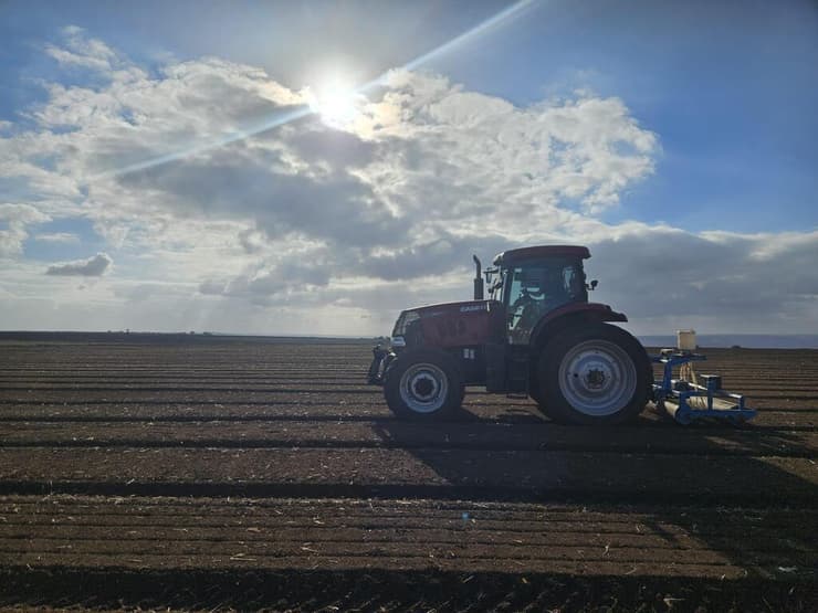 חריש בשדות קינואה בצפון הארץ