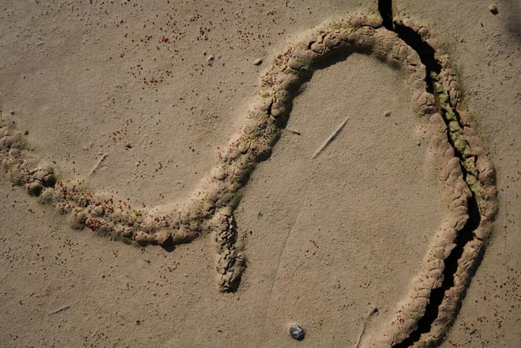 עקבות של ערצב