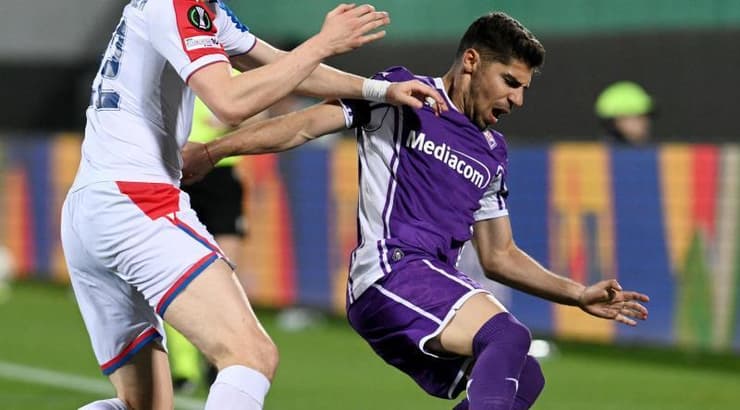 מנור סולומון לפני הבישול