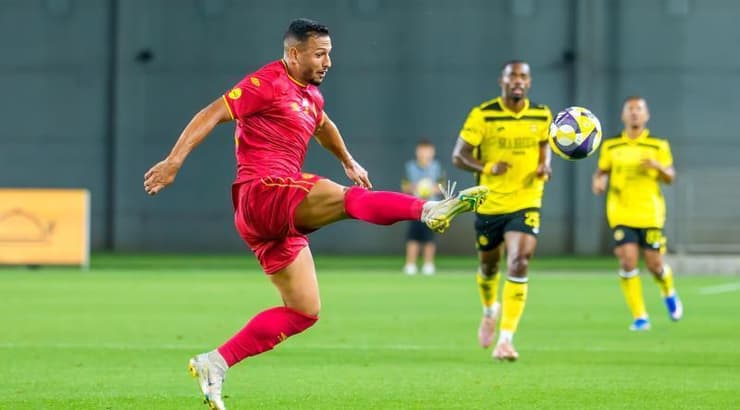 אילון אלמוג