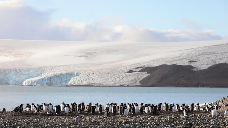 ירח דבש בקצה העולם