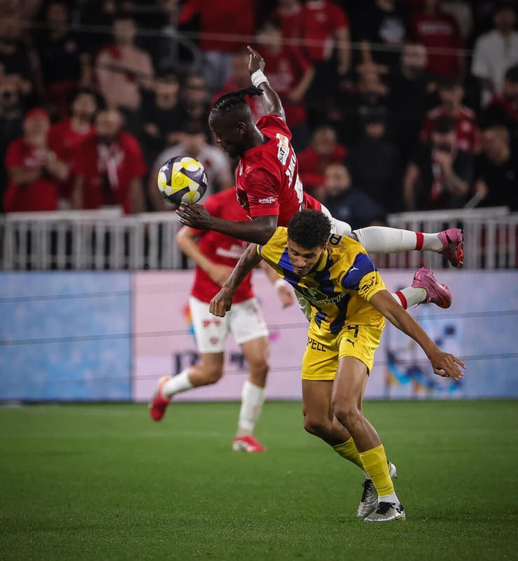 מאיימבו והייטור