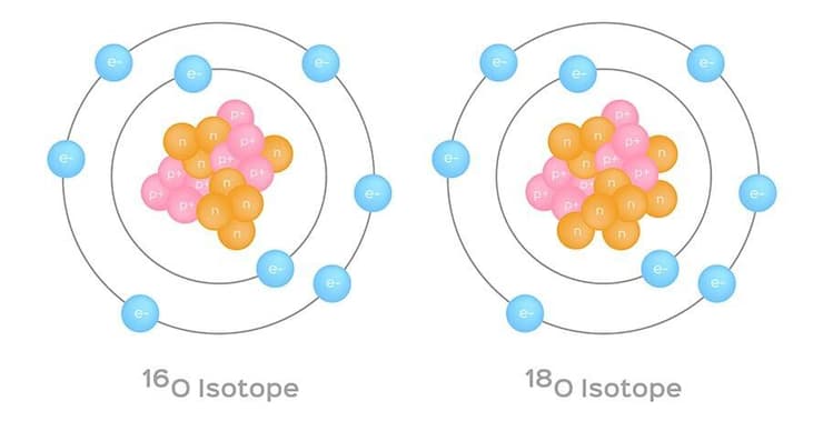 איזוטופים הם צורות שונות של אותו יסוד, שנבדלות ביניהן במספר הנויטרונים בגרעין. אילוסטרציה של שני איזוטופים של חמצן, חמצן 16 וחמצן 18