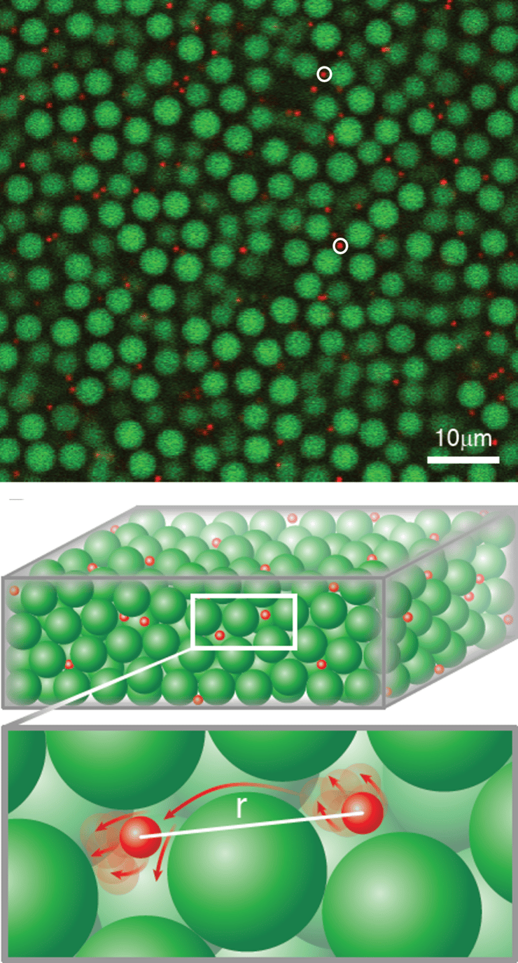 מעבר הזכוכית